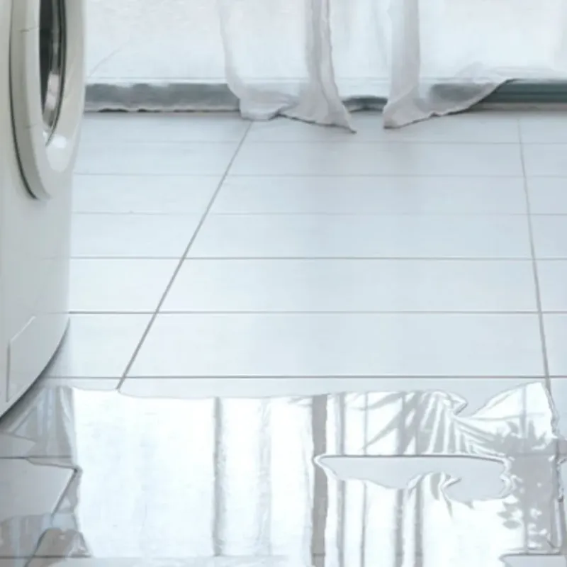 Appliance Leak Cleanup in Bellaire, MI